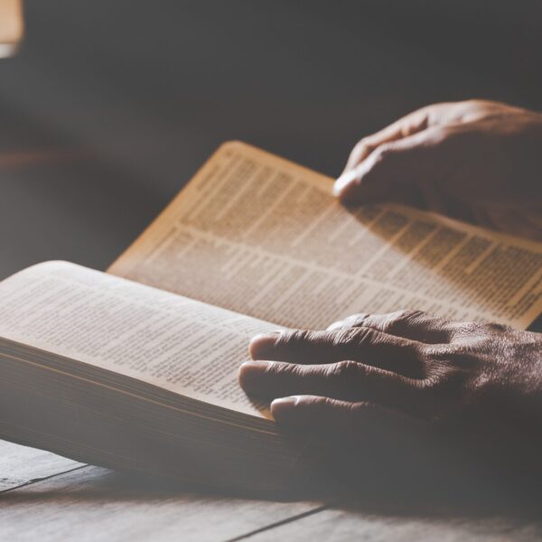 Die ultimative Bestseller-Liste: Die besten Bücher aller Zeiten