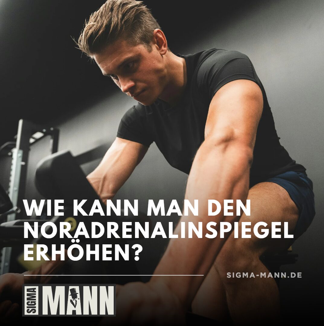 noradrenalinspiegel erhöhen noradrenalinspiegel erhöhen
