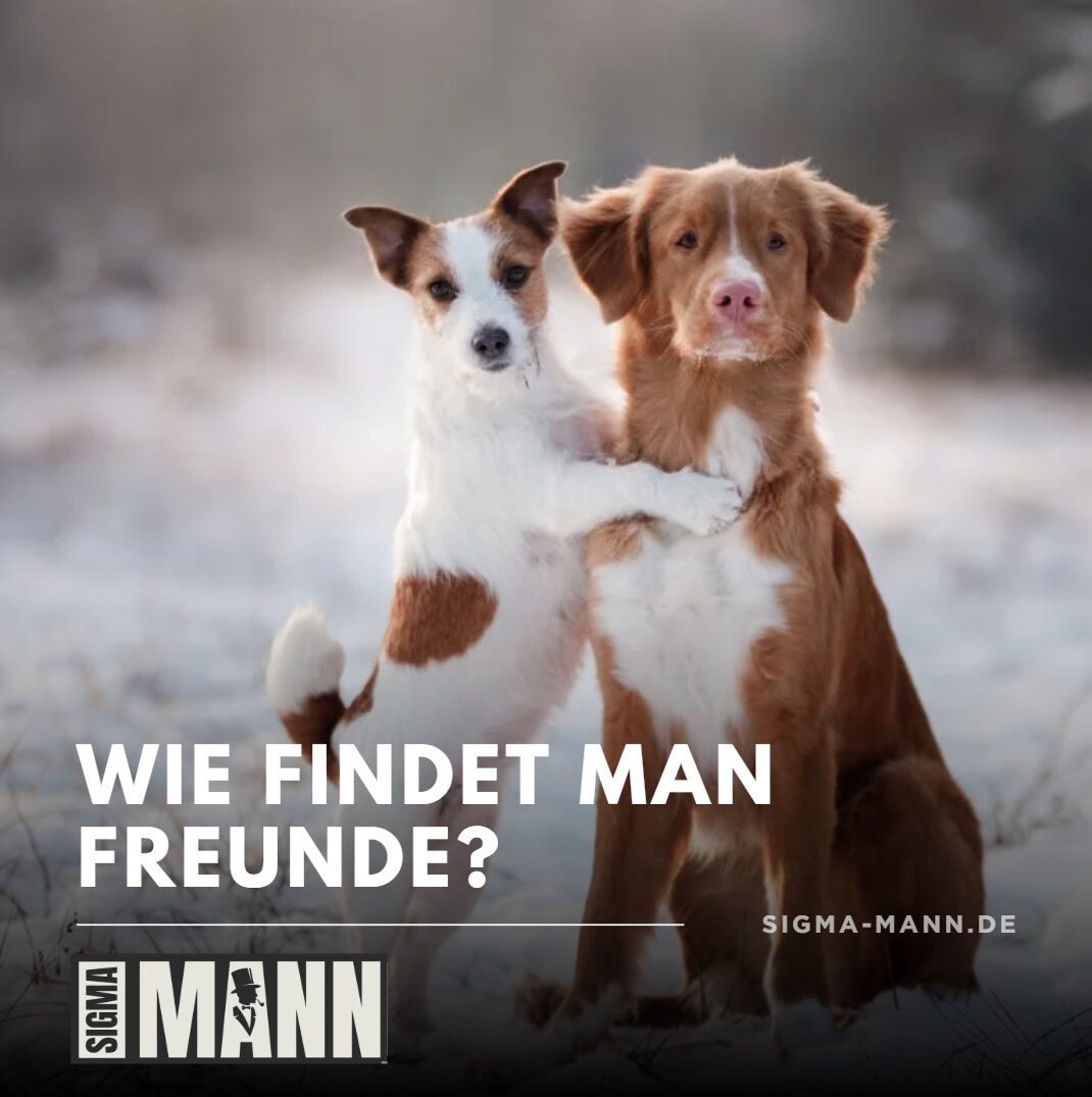 wie findet man freunde tipps wie findet man freunde tipps