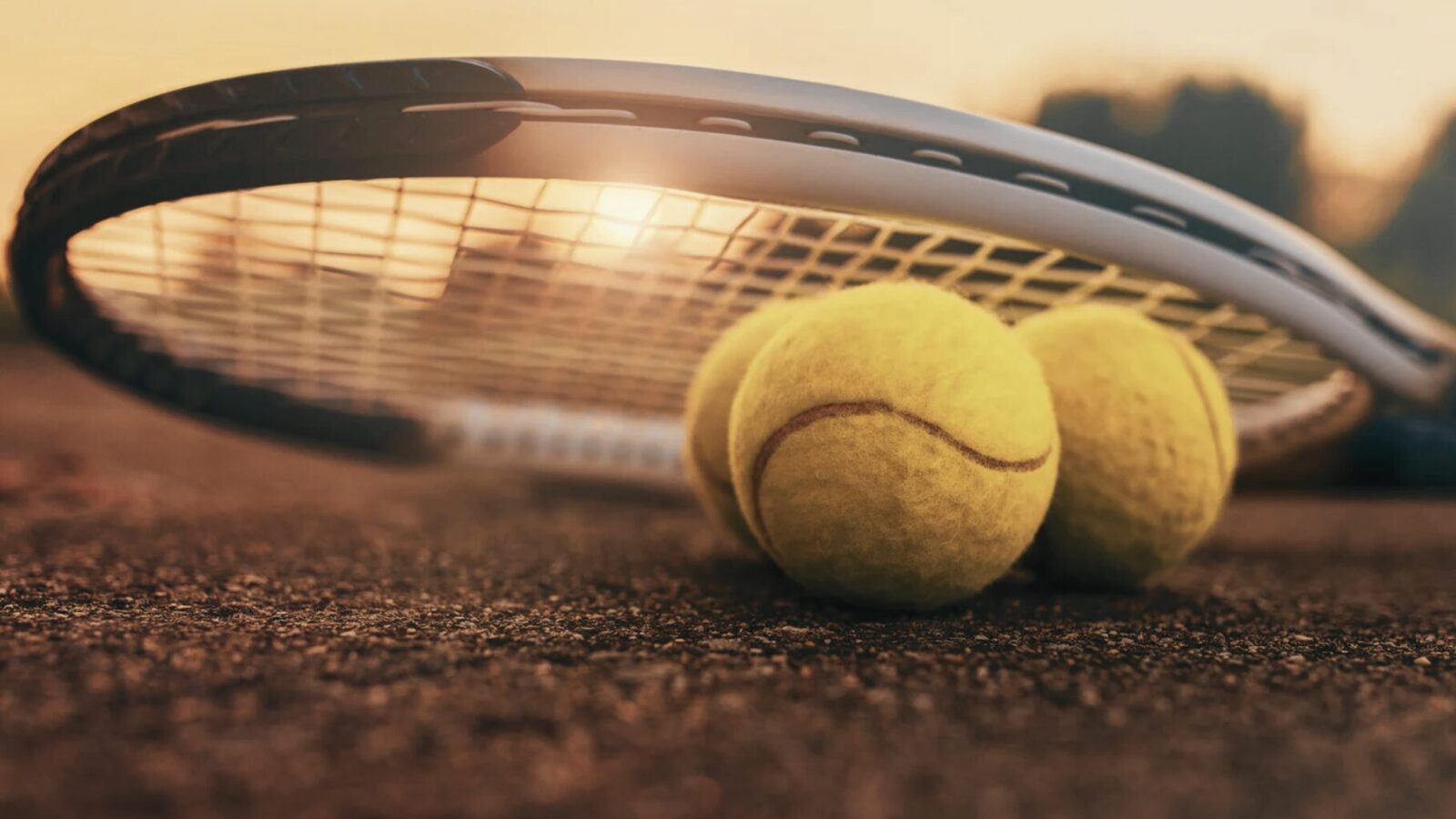 Renaissance des Tennis