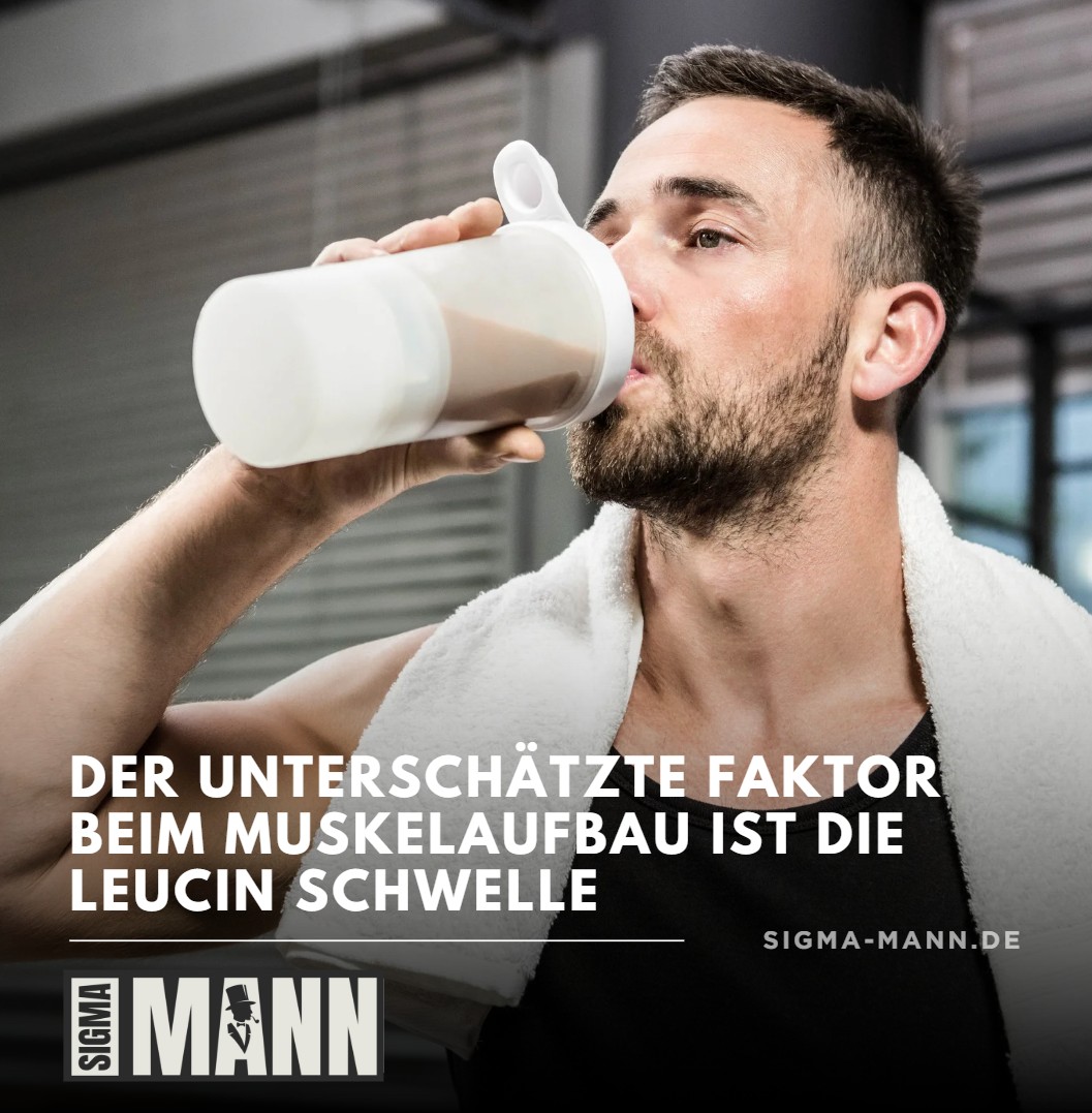 Der unterschätzte Faktor beim Muskelaufbau ist die Leucin Schwelle
