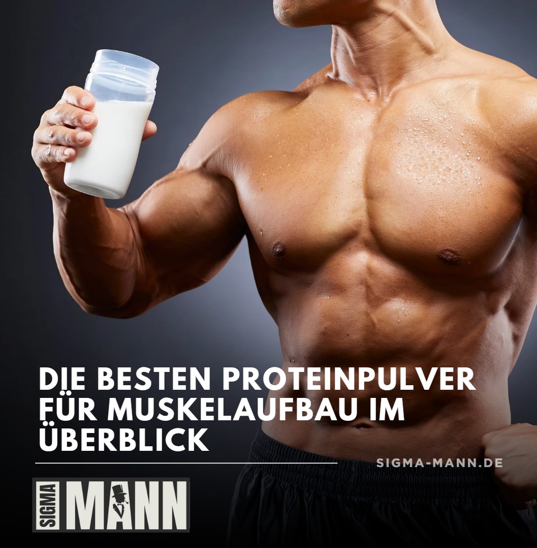 Die besten Proteinpulver für Muskelaufbau im Überblick