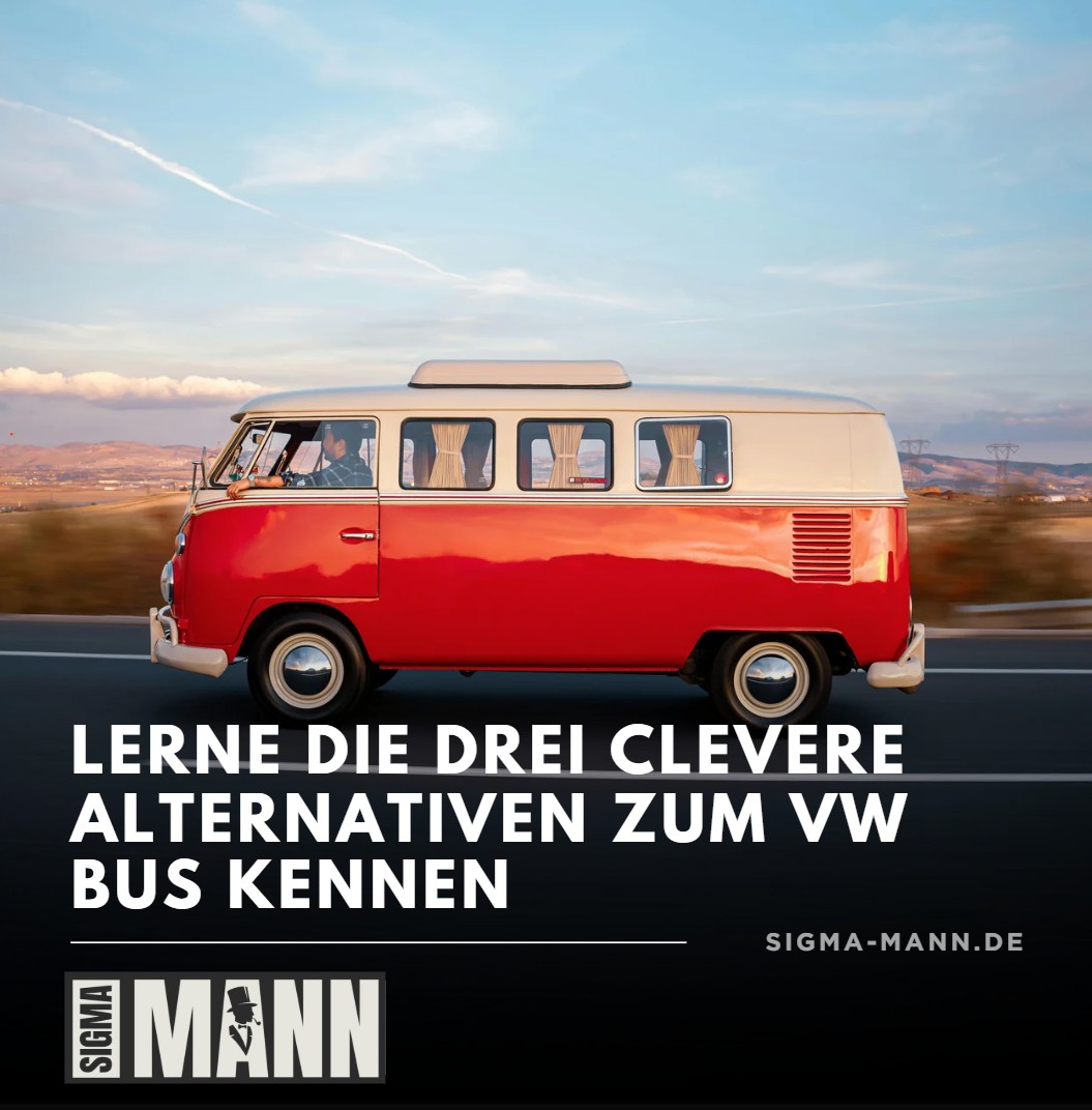 Lerne die drei clevere Alternativen zum VW Bus kennen