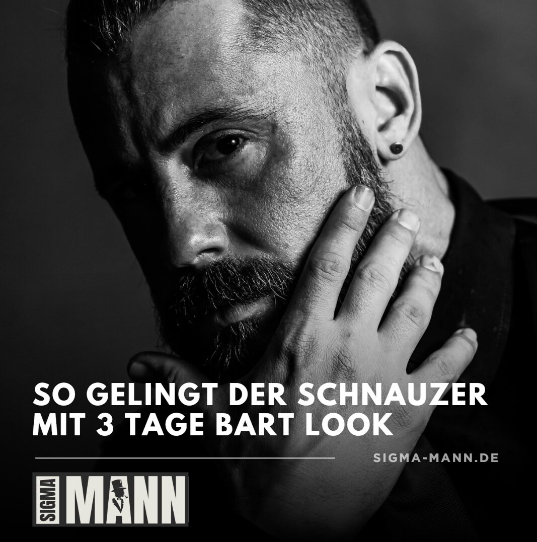 Schnauzer mit drei tage bart Schnauzer mit drei tage bart